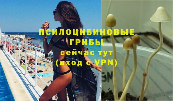 jwh Елизово