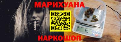 индика Кингисепп
