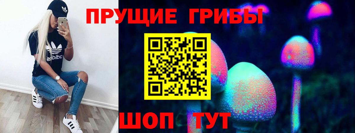 наркота  Галлюциногенные грибы Magic Shrooms  Вход с VPN  Курчалой 